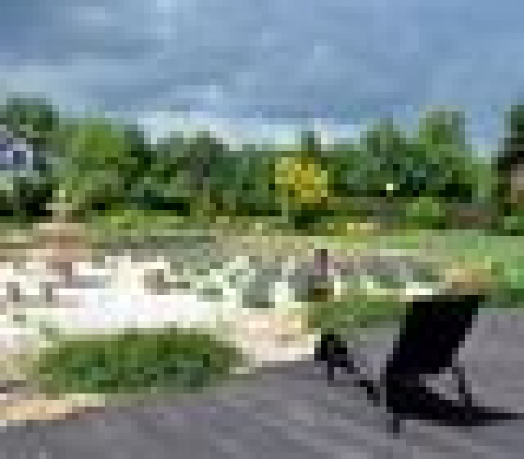 Lawendowa Prowansja na Mazowszu