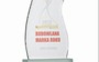 Złota Budowlana Marku Roku 2012 dla FAKRO 