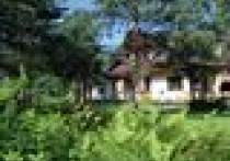 5000 m2 w środku lasu