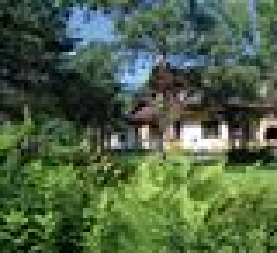 5000 m2 w środku lasu