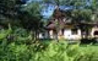 5000 m2 w środku lasu