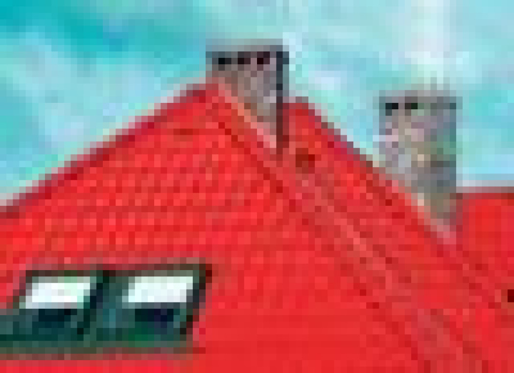 Bez komin(ka) ani rusz