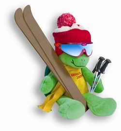 Maskotka Narciarskich Mistrzostw Polski Branży Budowlanej