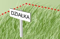 Ustalenie przebiegu granicy działki