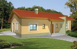 mniszek_casestudy2_250