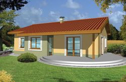 mniszek_casestudy3_250