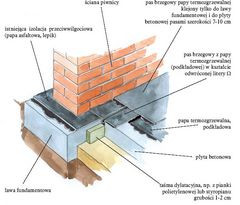 Adaptacja piwnicy do celów mieszkalnych