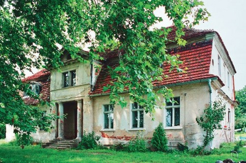 Ogromny platan klonolistny. Obwód jego pnia wynosi prawie 7,5 metra.