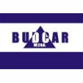 BUDCAR