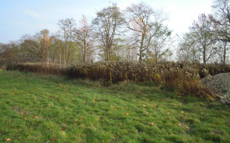 Dożywotnie użyczenie gruntu pod budowę domu