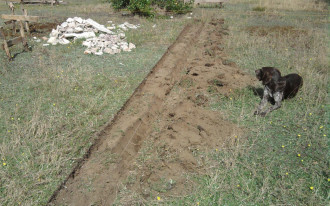 Dom w granicy działki