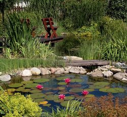 Przygotowanie posesji do zimy