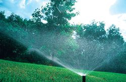 Podlewanie bez węża