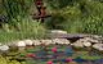 Przygotowanie posesji do zimy