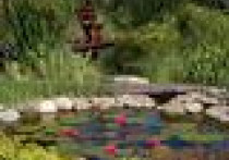 Przygotowanie posesji do zimy