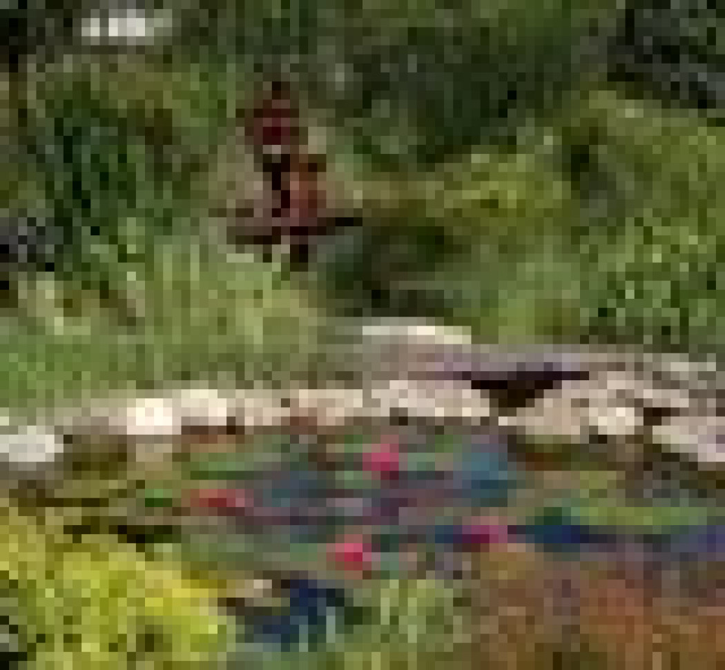 Przygotowanie posesji do zimy