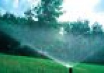 Podlewanie bez węża