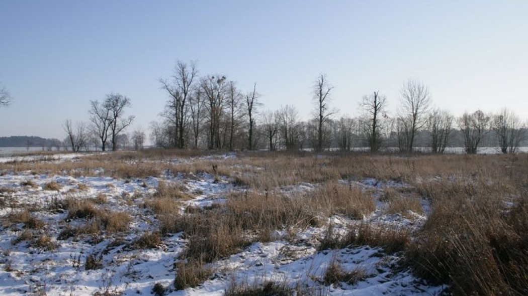 Kto i w jakich sytuacjach ma prawo pierwokupu działki?