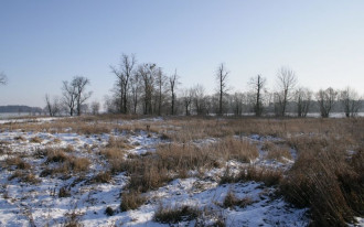 Kto i w jakich sytuacjach ma prawo pierwokupu działki?