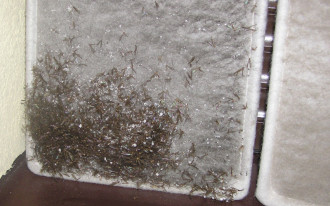 Czy rekuperator uchroni mój dom przed nieprzyjemnymi zapachami z zewnątrz?