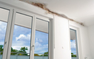 Na ścianie oddzielającej mój balkon od sąsiada pojawiał się grzyb