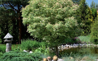 Azjatyckie inspiracje