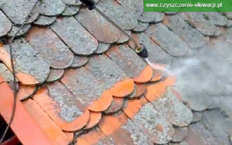 Czyszczenie dachówki z mchów i porostów