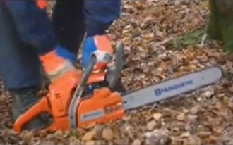 Instrukcja ścinania drzewa