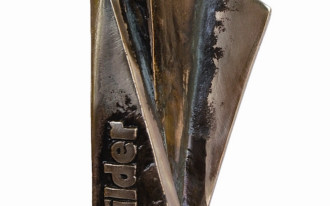 Vetrex został wyróżniony statuetką Top Builder