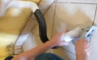 Centralne odkurzanie - podłączanie szufelki