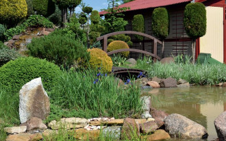 Iglakowe rzeźby i oczko wodne z kaskadą