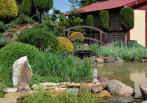 Iglakowe rzeźby i oczko wodne z kaskadą