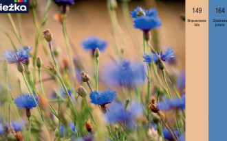 Nowe odcienie w palecie farb Śnieżka Barwy Natury