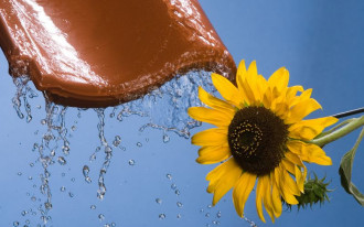 Dni Otwarte z super cenami na produkty Röben!