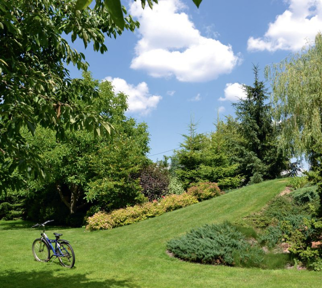 Ogród z boiskiem i parkiem linowym