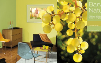 Kolory jesiennej aury w kolekcji farb Śnieżka "Barwy Natury"