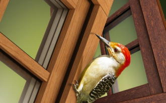 Okna Wood Look - nowa jakość PVC