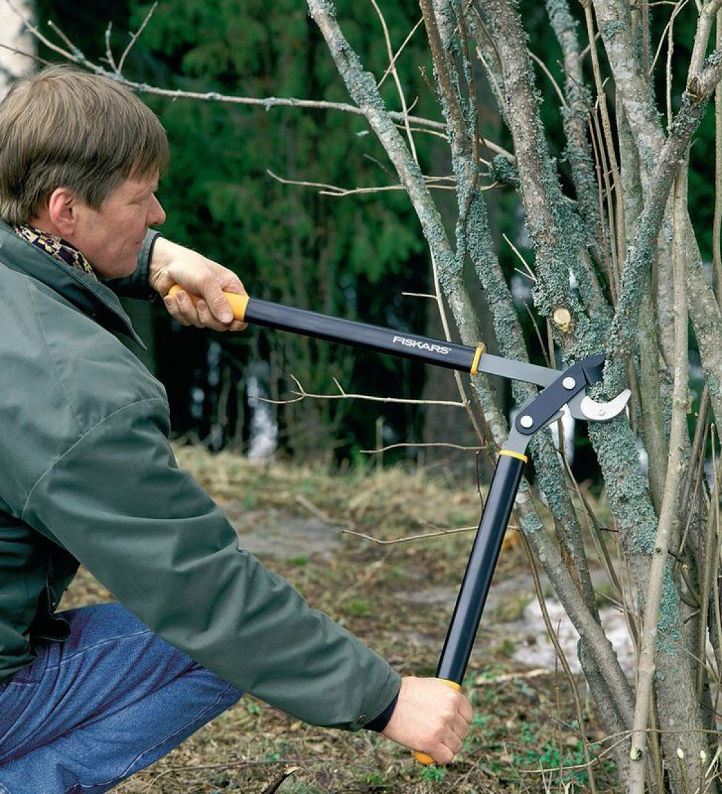 Narzędzia i sprzęt ogrodowy