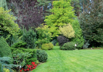 1200 m2 zielonej murawy
