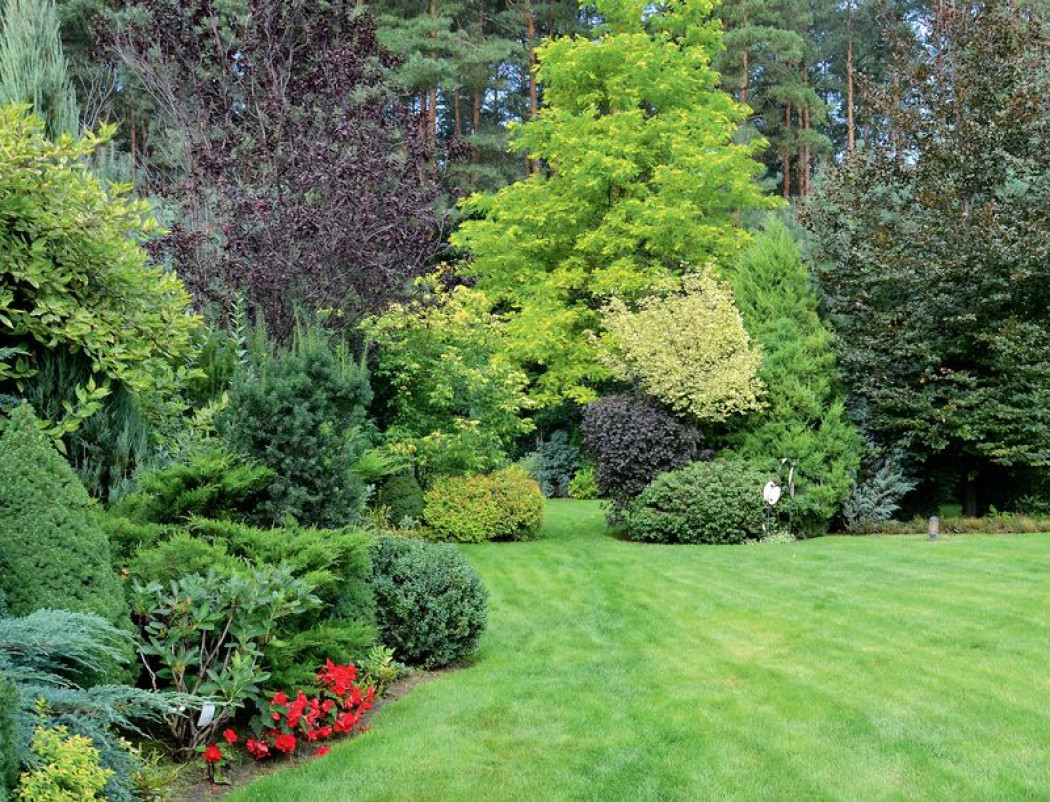 1200 m2 zielonej murawy