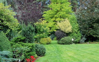 1200 m2 zielonej murawy