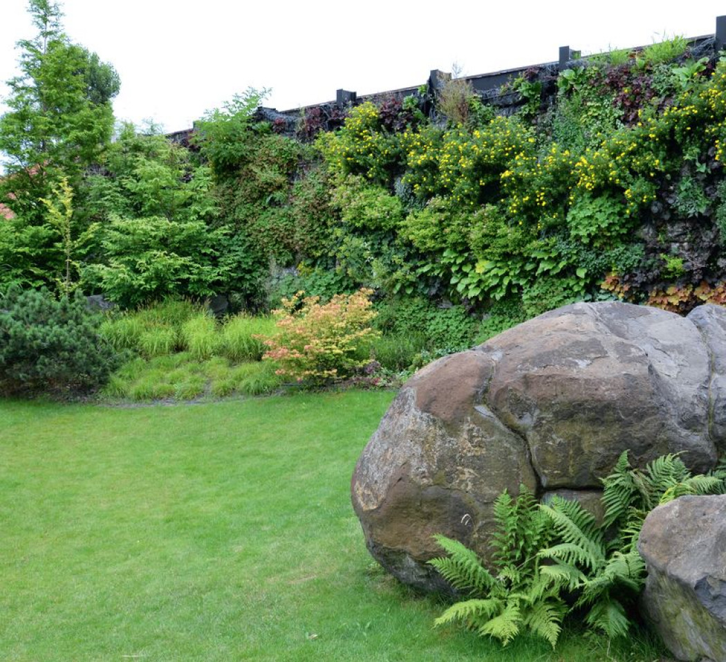 Zielona ściana roślin