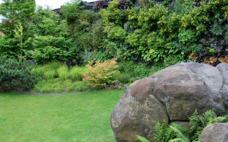 Zielona ściana roślin