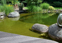 Kąpielowe oczko przy domu