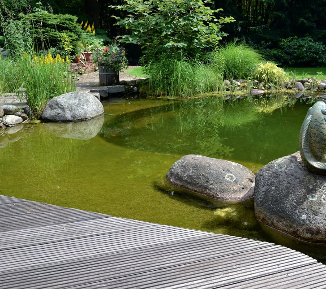 Kąpielowe oczko przy domu