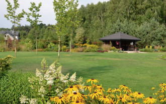 Ciągle kwitnący, z ciennikiem na trawniku