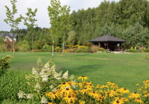 Ciągle kwitnący, z ciennikiem na trawniku