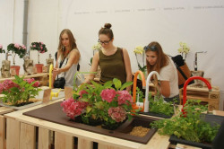 Natura designu, czyli Deante podczas Łódź Design Festival