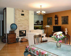 Obudowę kominka wykonano z okładziny, imitującej piaskowiec. Początkowo istniał tu trakt komunikacyjny, lecz właścicielka zleciła wybudowanie między salonem a korytarzem niskiej ścianki działowej, na której ustawiła akwarium. Dzięki temu przy kominku łatwiej było urządzić miejsce do wypoczynku