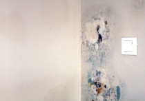 Eliminowanie pleśni i wilgoci